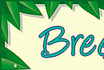 Welcome to Breeze On In Sales Haitian Metal Wall Art on eBay